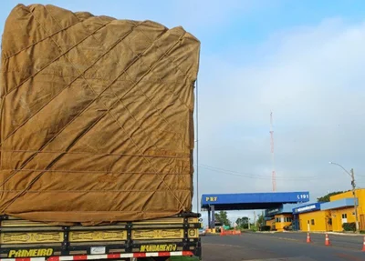 Caminhão apreendido pela PRF por transporte irregular de madeira nativa