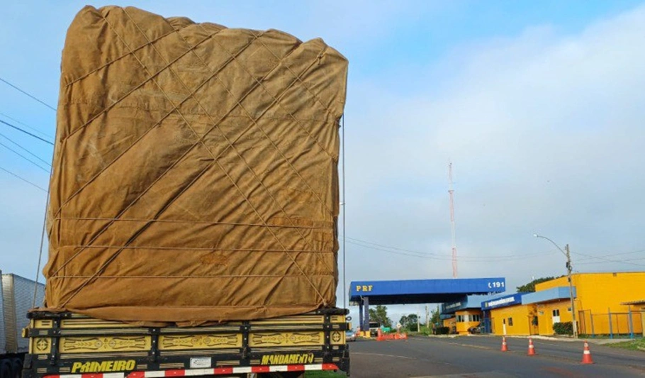 Caminhão apreendido pela PRF por transporte irregular de madeira nativa