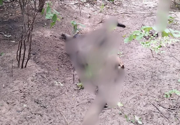 Corpo em avançado estado de decomposição encontrado no Piauí
