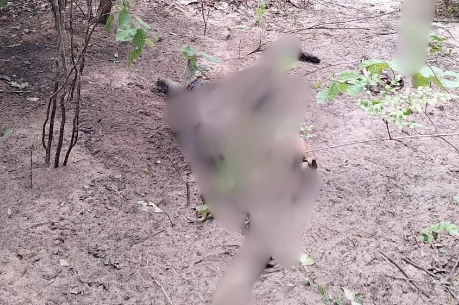 Corpo em avançado estado de decomposição encontrado no Piauí