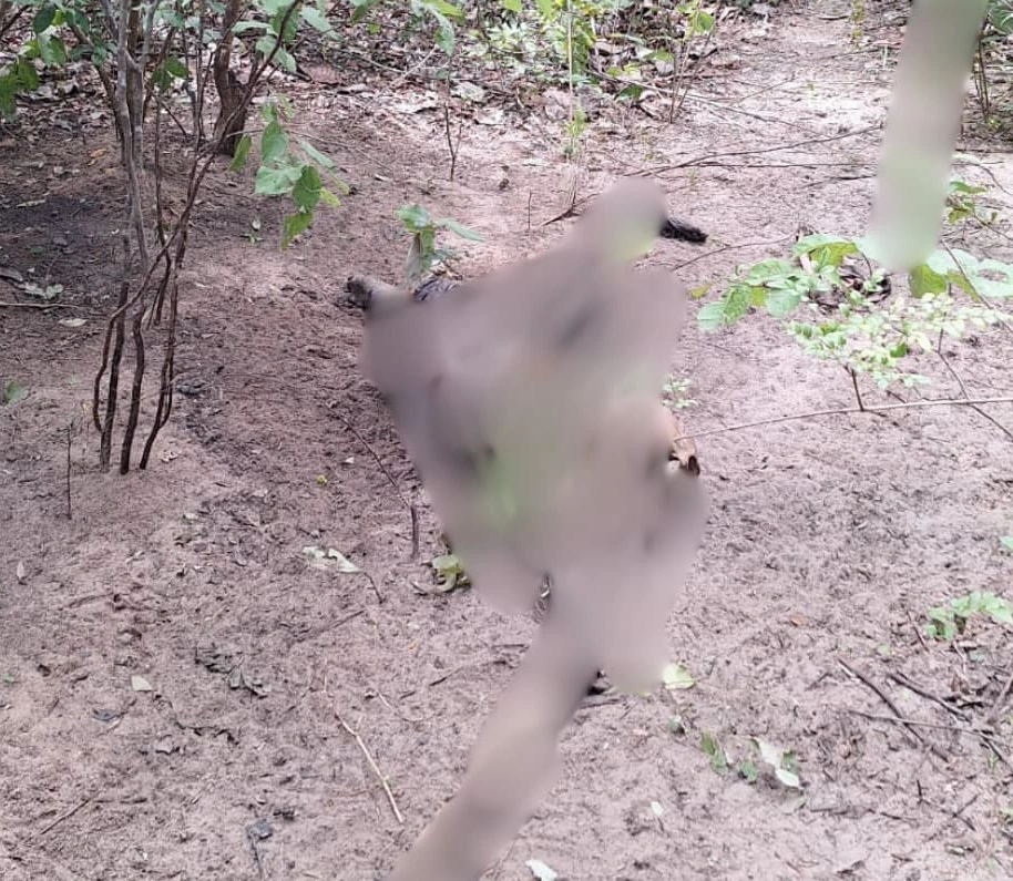Corpo em avançado estado de decomposição encontrado no Piauí