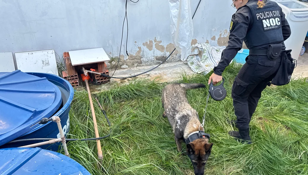 Equipes do Núcleo de Operações com Cães