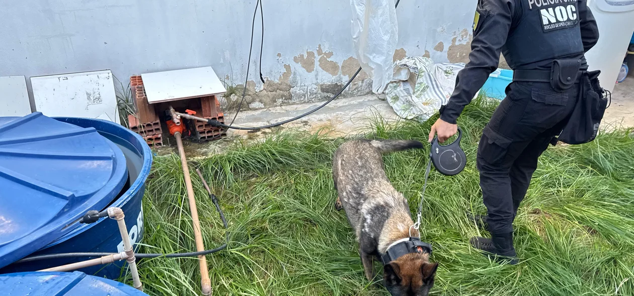 Equipes do Núcleo de Operações com Cães