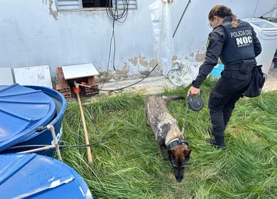 Equipes do Núcleo de Operações com Cães