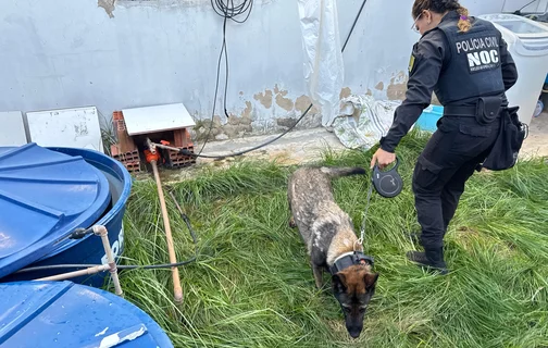 Equipes do Núcleo de Operações com Cães