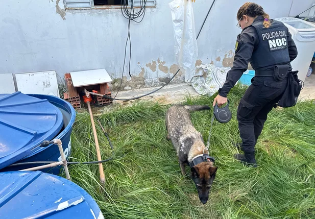 Equipes do Núcleo de Operações com Cães