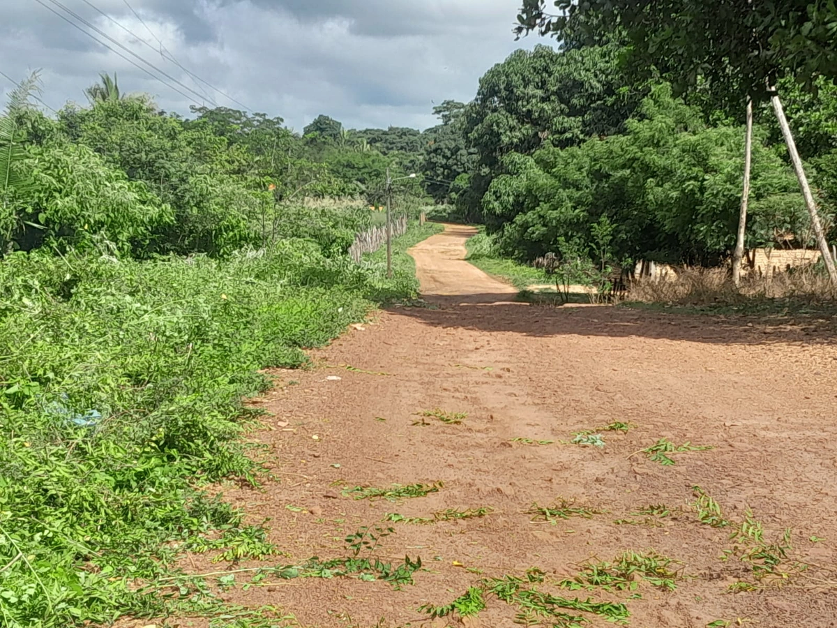 Limpeza de estrada vicinal em São João do Arraial