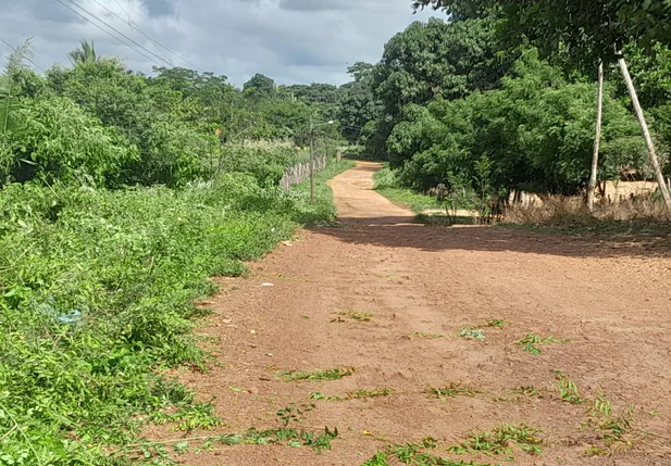 Limpeza de estrada vicinal em São João do Arraial