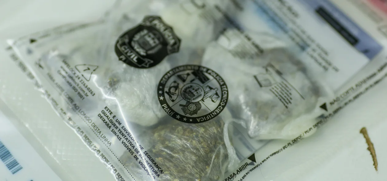 Maconha apreendida durante operação do DENARC