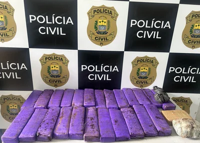 Material apreendido pela Polícia Civil de Amarante