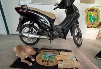 Objetos e animal apreendidos com a suspeita