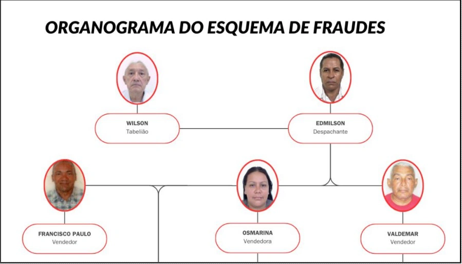 Organograma do esquema de venda ilegal de terrenos no Piauí