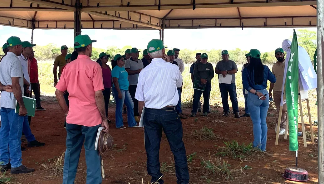Os participantes acompanharam palestras sobre manejo sanitário e seleção de lotes
