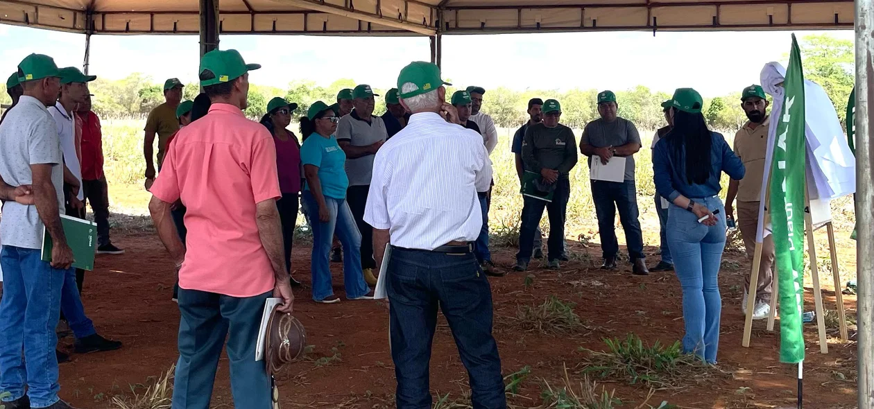 Os participantes acompanharam palestras sobre manejo sanitário e seleção de lotes