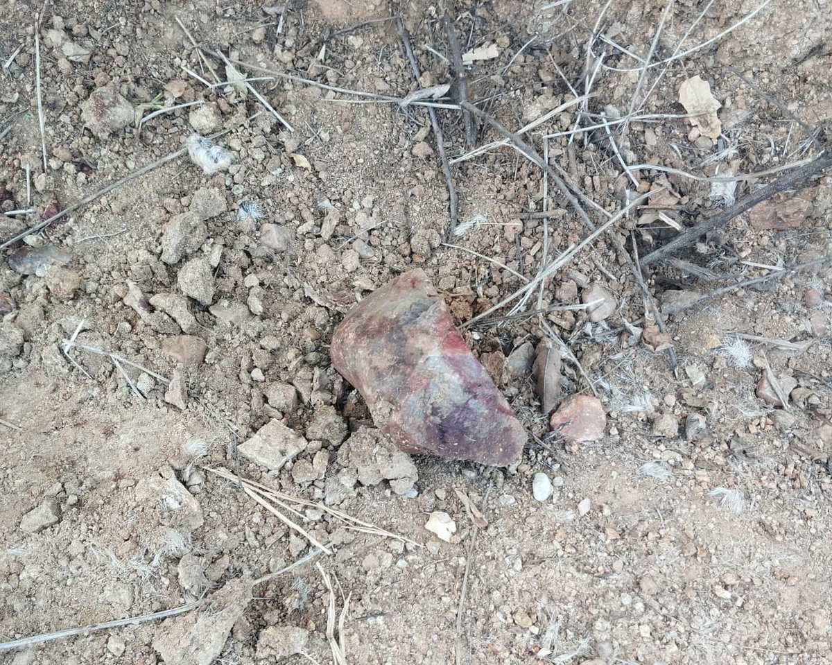 Pedra utilizada na tentativa de feminicídio em Paulistana