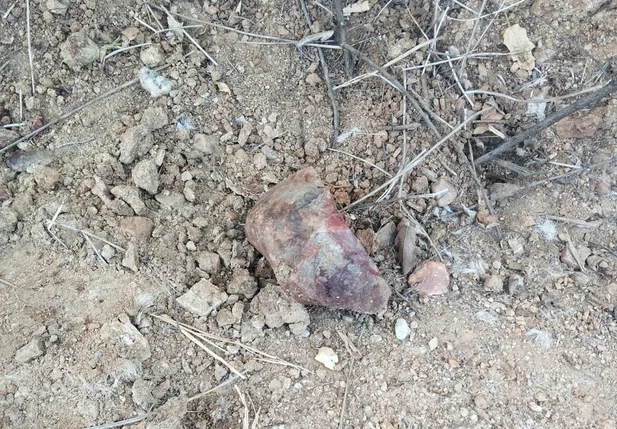 Pedra utilizada na tentativa de feminicídio em Paulistana