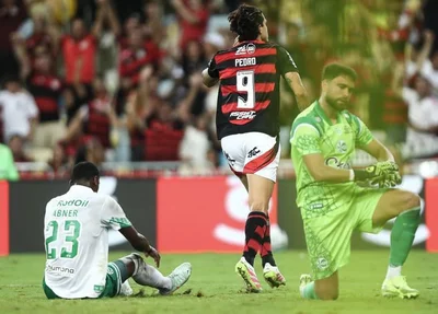 Pedro marcou dois gols na goleada do Flamengo sobre o Juventude.