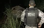Policial do RONE