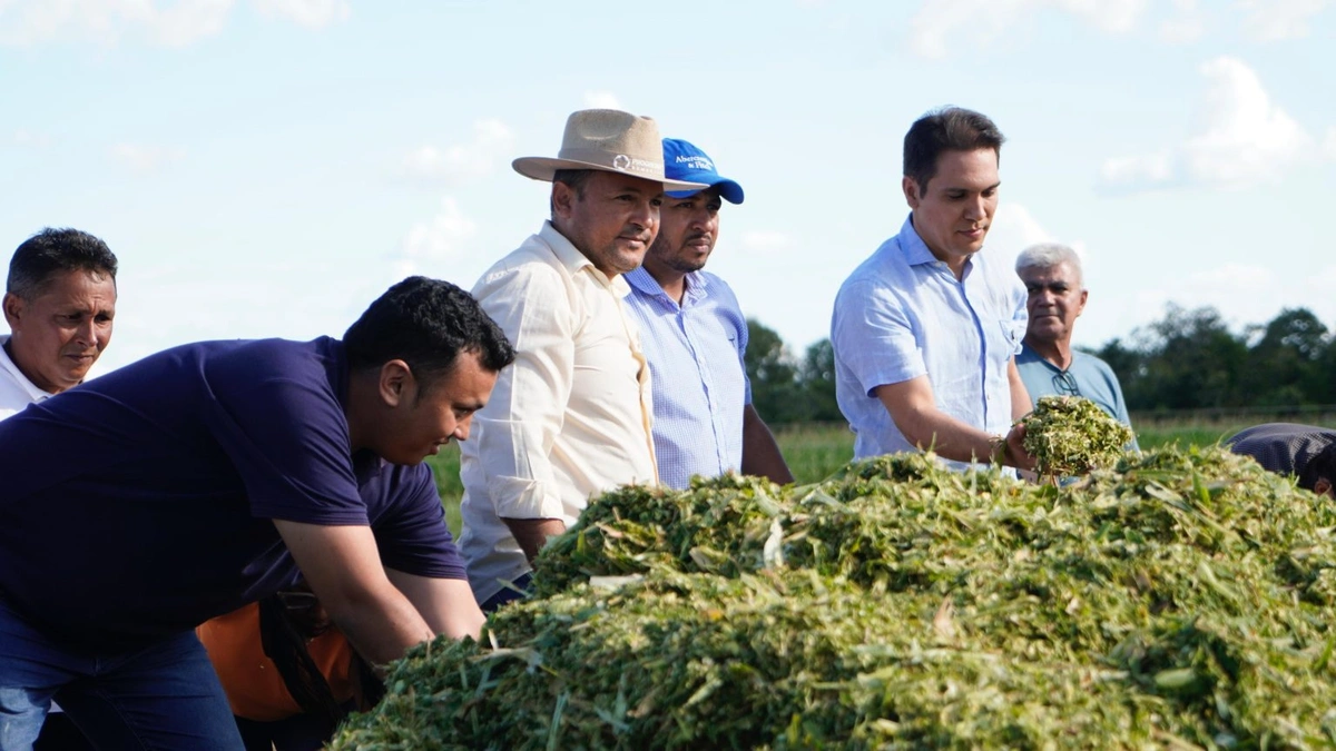 Prefeito de Uruçuí acompanha produção de silagem no Assentamento Flores