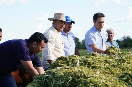 Prefeito de Uruçuí acompanha produção de silagem no Assentamento Flores