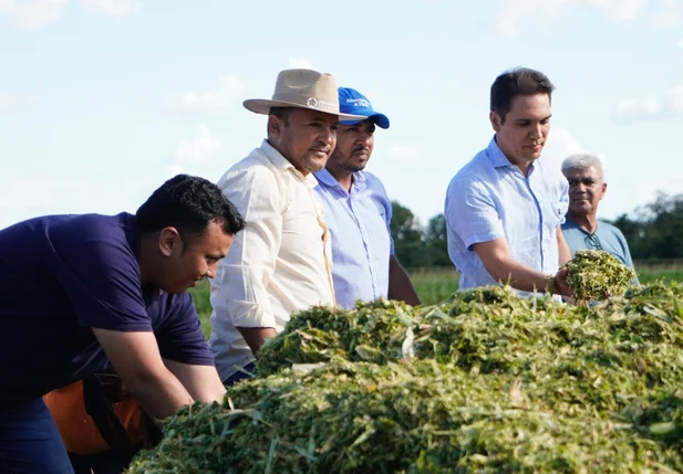 Prefeito de Uruçuí acompanha produção de silagem no Assentamento Flores