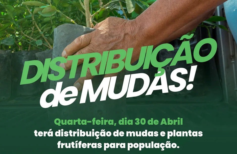 Prefeitura de Nazária realiza distribuição gratuita de mudas