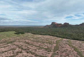 Piauí no topo do retrocesso: Canto do Buriti lidera desmatamento nacional em 2025