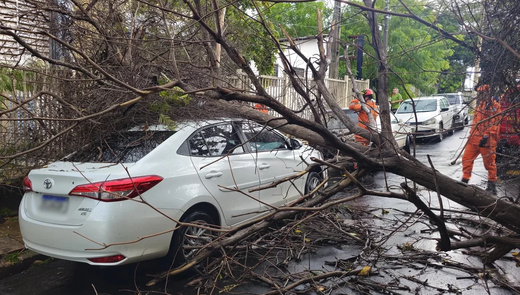 Árvore caiu em cima de carro no bairro Monte Castelo