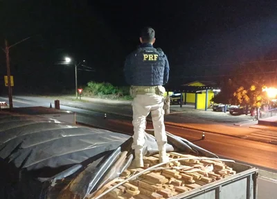 Carga de aproximadamente 60 metros cúbicos de madeira transportada ilegalmente