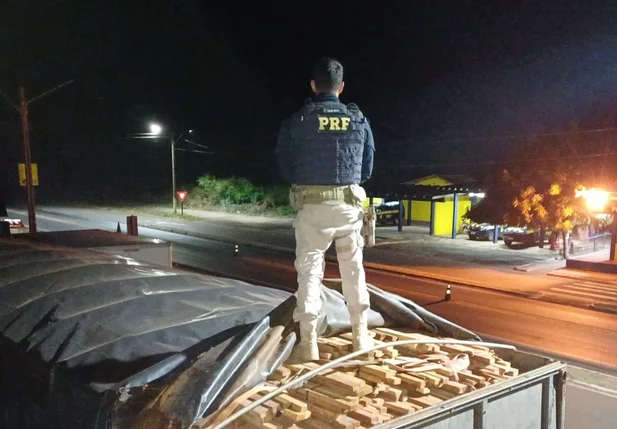 Carga de aproximadamente 60 metros cúbicos de madeira transportada ilegalmente