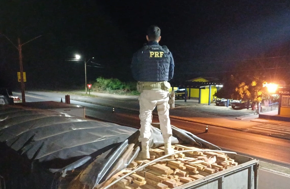 Carga de aproximadamente 60 metros cúbicos de madeira transportada ilegalmente