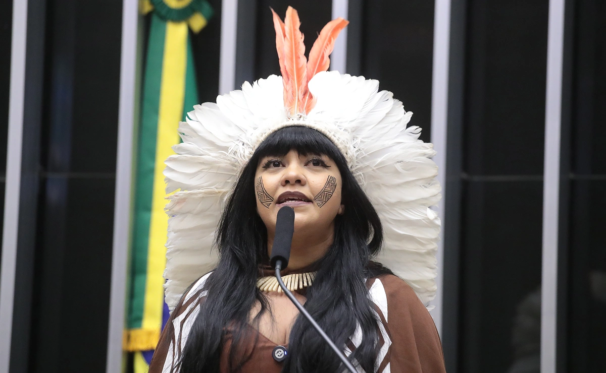 Deputada Célia Xakriabá (PSOL - MG)