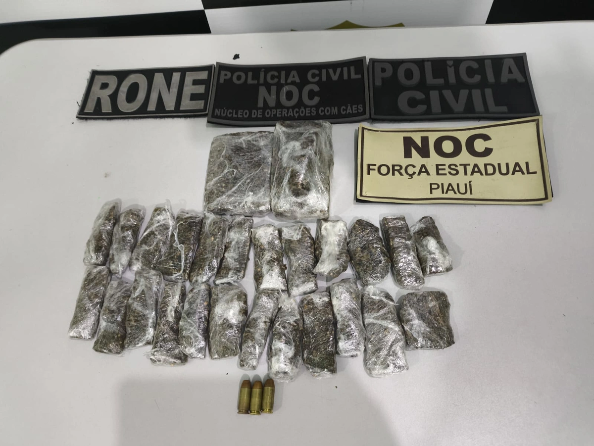 Drogas apreendidas na operação
