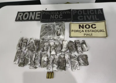Drogas apreendidas na operação
