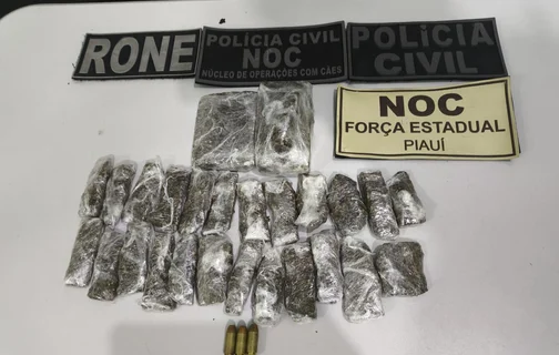 Drogas apreendidas na operação