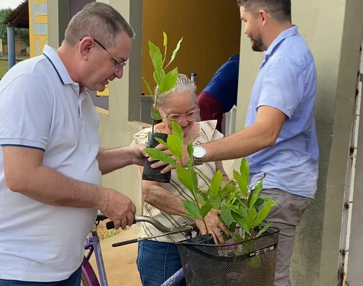 Entrega de mudas em Sigefredo Pacheco