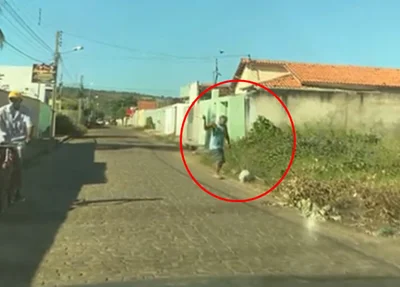 Funcionário público aposentado acusado de espancar cadela na rua