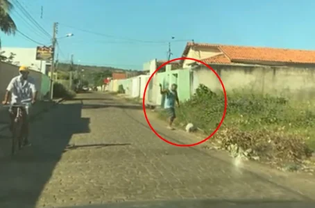 Funcionário público aposentado acusado de espancar cadela na rua