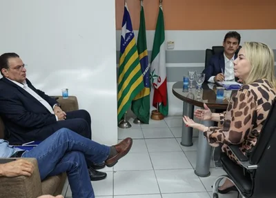 Carolina Serafim, presidente da Águas de Teresina, durante reunião na Assembleia Legislativa do Piauí (Alepi)