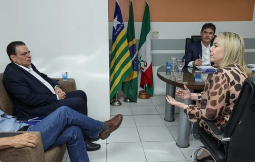 Carolina Serafim, presidente da Águas de Teresina, durante reunião na Assembleia Legislativa do Piauí (Alepi)