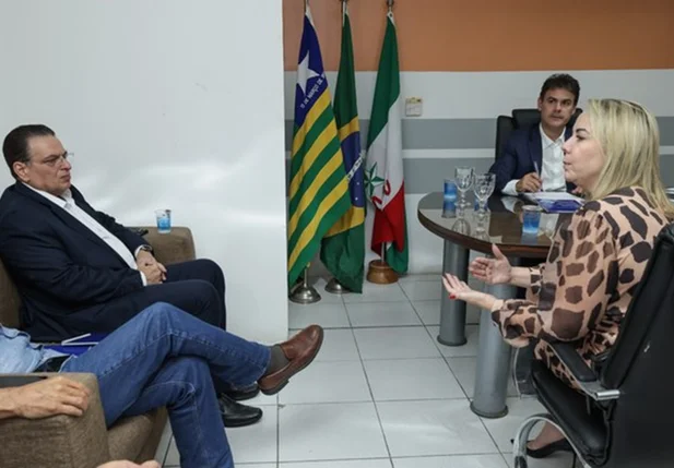 Carolina Serafim, presidente da Águas de Teresina, durante reunião na Assembleia Legislativa do Piauí (Alepi)