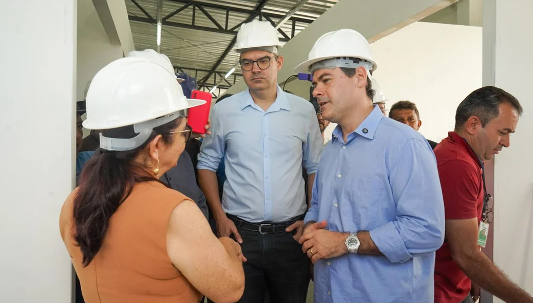 Governador em exercício