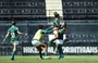 Jogadoras do Palmeiras comemoram gol da virada sobre o Corinthians pelo Brasileirão Feminino