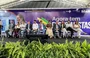 Lançamento do programa do Ministério da Saúde