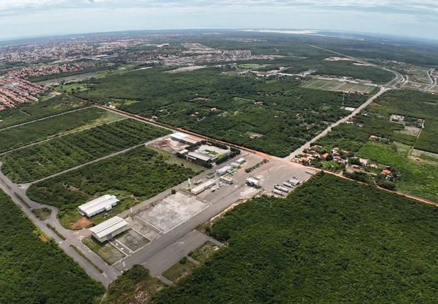 Limpeza do terreno para construção da usina de hidrogênio verde