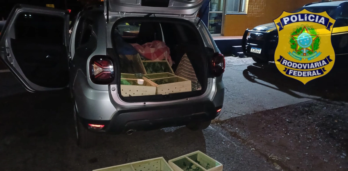 Motorista foi detido e encaminhado à delegacia