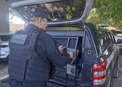 Operação DENARC 47