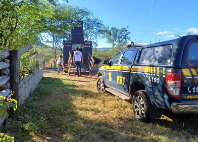 Operação "Manejo de Animais"