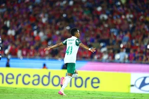 Palmeiras vence fora de casa e se garante nas oitavas de final da Libertadores