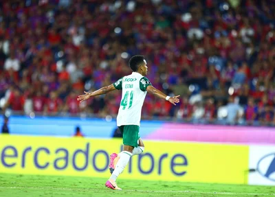 Palmeiras vence fora de casa e se garante nas oitavas de final da Libertadores